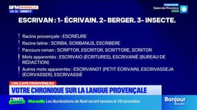 Lou Cafè Prouvençau: Escrivan, le mot du jour
