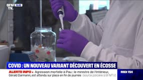 Covid-19: un nouveau variant découvert en Écosse
