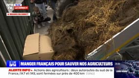 Colère des agriculteurs: du fumier déversé devant la préfecture à Nice 