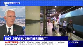 SNCF: Guillaume Pépy annonce la reprise de la circulation des OuiGo "le plus vite possible"