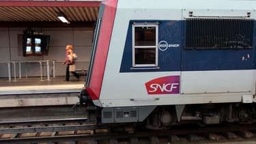 Cette commande de 3 à 3,5 milliards d'euros pour 371 RER de nouvelle génération, est la plus importante pour le réseau francilien depuis 1945.