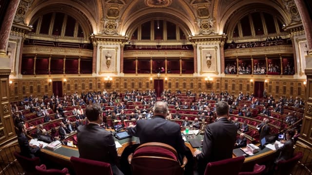 L'hémicycle du Sénat à Paris le 17 novembre 2016