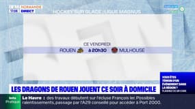 Ligue Magnus: les Dragons de Rouen reçoivent Mulhouse