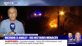 Incendie à Anglet: "Plus d'une cinquantaine d'hectares sont partis en fumée", selon le maire