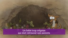 Faut-il aller voir "Le Grand Méchant Renard", le nouveau film d’animation de Benjamin Renner?