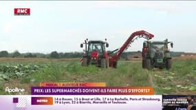 C'est votre avis : Les supermarchés doivent-ils faire plus d'efforts en matière de prix ? - 08/11
