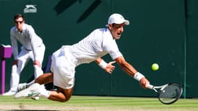 N. Djokovic