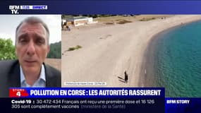 Pollution en Corse: selon le maire de Porto-Vecchio, "le littoral sera très bientôt accessible"