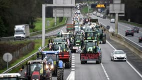 Des agriculteurs en tracteur sur la rocade de Rennes, le 1er février 2024 en Ille-et-Vilaine