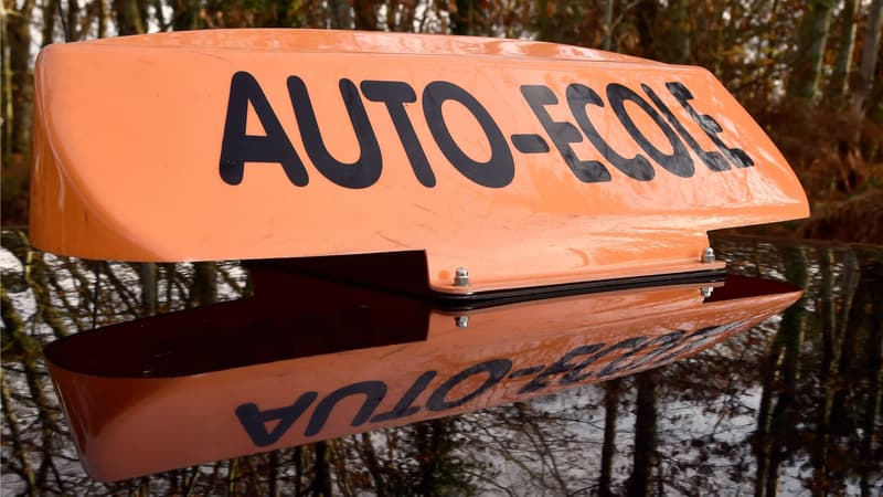 Les patrons d'auto-écoles manifestent contre la modernisation du permis de conduire.