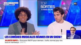 Top Sorties Paris du vendredi 10 mars 2023 - Les comédies musicales réunies en un show !