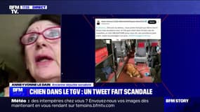 Chien sans muselière dans le TGV: "Je ne dénonçais pas, je montrais une situation qui est banale", affirme Anne-Yvonne Le Dain