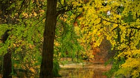 Un parc public à Bordeaux en septembre 2023.