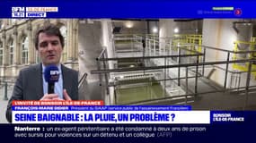 Seine baignable: la pluie, un problème juste avant les JO?