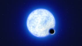 Un trou noir d'un nouveau type s'est dévoilé au terme de six années d'observation avec le Très grand Télescope (VLT) de l'Observatoire européen austral (ESO) au Chili.