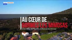 Au Cœur de Bormes les Mimosas