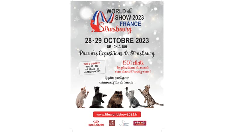 Le World Cat Show FIFe