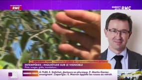 Témoin RMC : Jean-Marie Fabre - 17/08