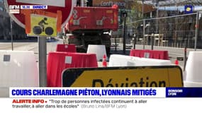Cours Charlemagne piéton, Lyonnais mitigés