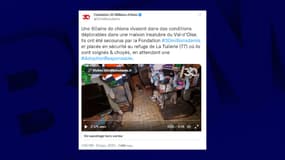 Les chiens et le lapin vivaient  dans des conditions insoutenables.