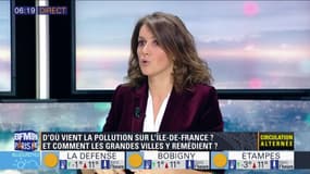 Par'is green : La pollution s'agglomère dans les grandes villes et cause plus d'un million de  décès 