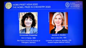 Deux femmes ont remporté le prix Nobel de chimie 2020, dont une Française. 