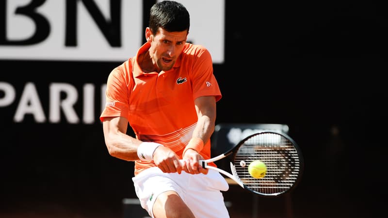 N. Djokovic