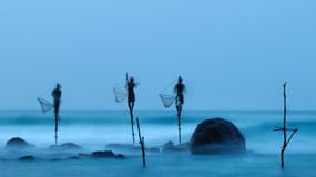 Cette technique de pêche est une spécialité du Sri Lanka.