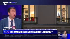 Projet de loi immigration: "L'essentiel est qu'à la fin on ait un texte qui soit fidèle à nos convictions et utile pour le pays", affirme Othman Nasrou (LR)