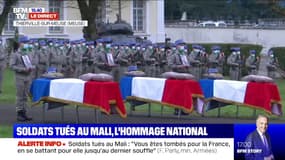 Florence Parly rend hommage aux trois soldats morts au Mali: "Servir la France ce n'est pas un métier, c'est une passion"