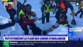 Puy-Saint-Vincent: des chiens pour intervenir sur des avalanches 