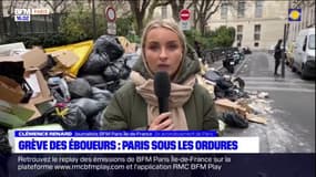 Paris : montagne de poubelles dans le 2e arrondissement, les riverains réagissent