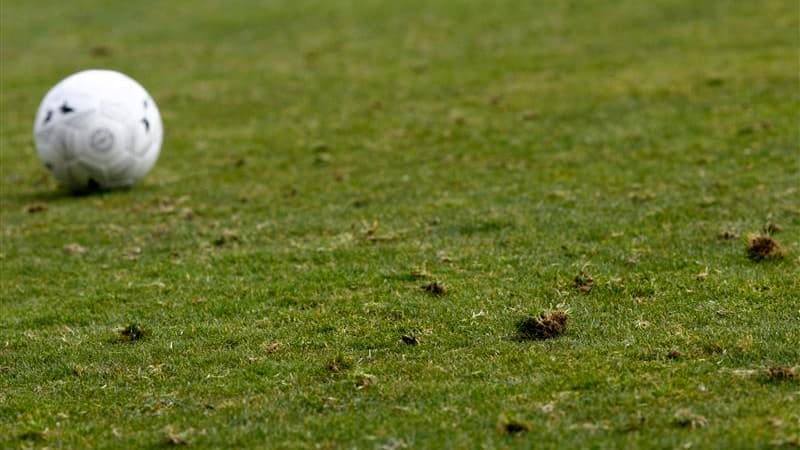 L'Office européen de police Europol annonce lundi le démantèlement d'un vaste réseau de corruption dans le milieu du football. /Photo d'archives/REUTERS/Dylan Martinez