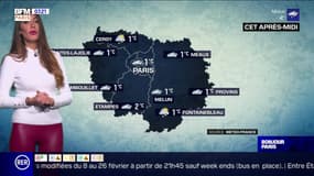 Météo Paris-Île-de-France du 8 février : Températures glaciales en matinée
