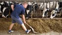 70% des jeunes agriculteurs qui se lancent dans le secteur sont des enfants d’agriculteurs (Photo d'illustration).