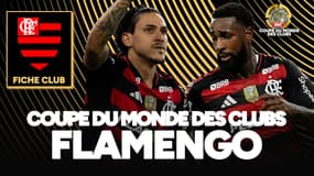 Un club au palmarès conséquent : Flamengo, forces et faiblesses (Coupe du monde des clubs)