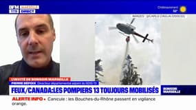 Mégafeux au Canada: comment se passe la collaboration entre les pompiers français et canadiens?