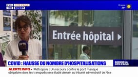CHU de Nice: l'infectiologue Véronique Mondain parle de "difficulté" pour "gérer les patients" cet été
