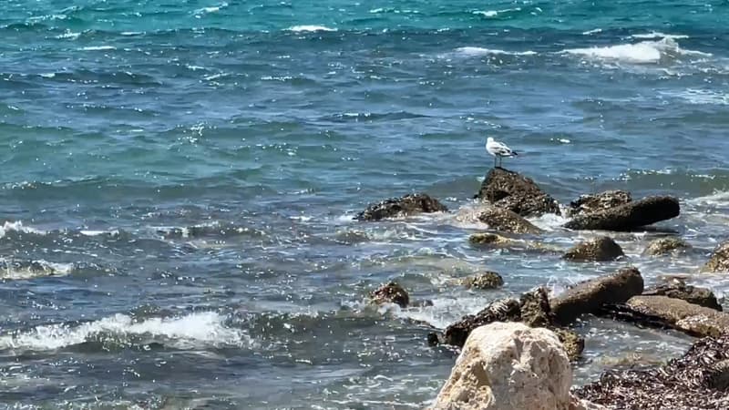 Mer Méditerranée: plus d'un tiers de ses zones humides menacées par la montée des eaux