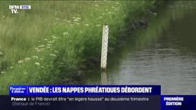 Vendée : les nappes phréatiques débordent - 11/05