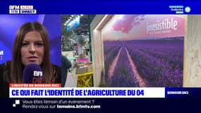 L'agriculture dans les Alpes-de-Haute-Provence, une filière aux multiples visages