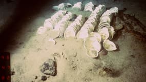 Des assiettes du célèbre paquebot découvertes dans les entrailles du Titanic en août 1987.