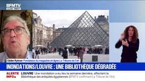 "À peu près 400 volumes de revues anciennes avec des reliures datant d'un siècle": Didier Rykner fondateur de La Tribune de l'art détaille les dégâts au Louvre après une inondation