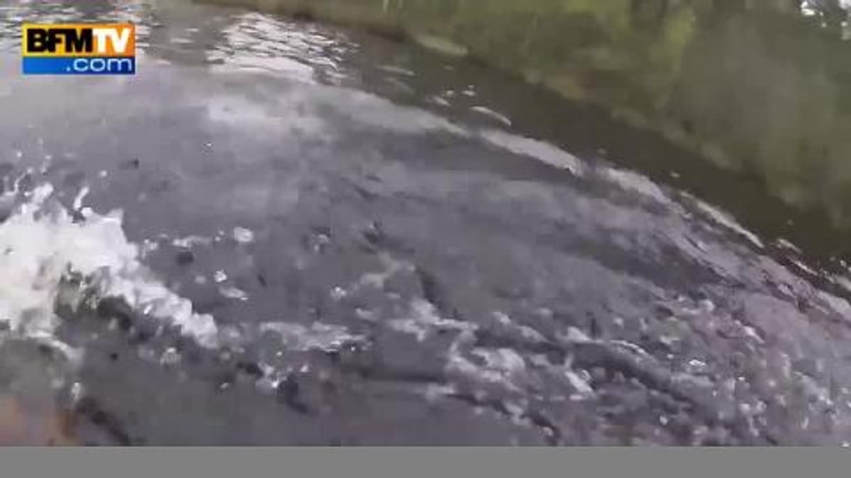 placeholder video