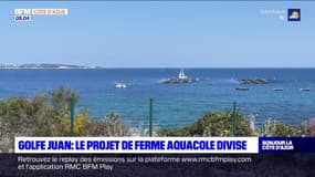 Côte d'Azur: le projet de ferme aquacole à Golfe Juan divise