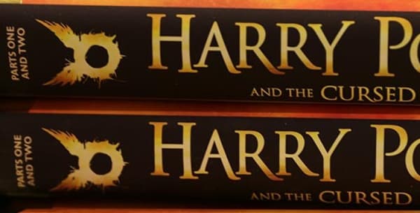 "Harry Potter et l'enfant maudit" est sorti en Grande-Bretagne le 31 juillet.