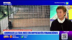 "Quasiment plus de dons ni de legs": la Société de défense des animaux de Nice en difficultés financières