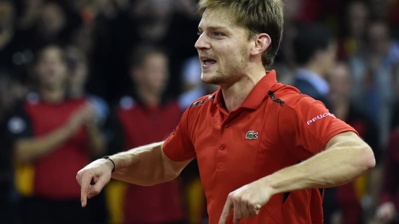 David Goffin (Belgique)