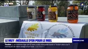 Salon de l'agriculture: des médailles pour ces deux apiculteurs du Var