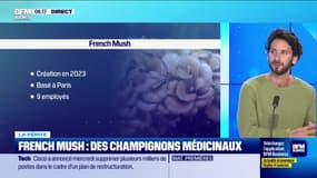 La pépite : French Mush, des champignons médicinaux, par Annalisa Cappellini - 15/02